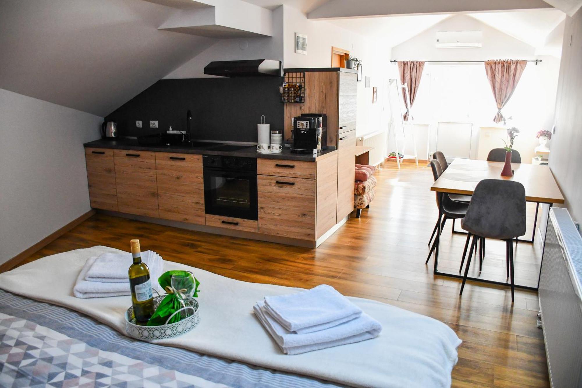 Studio Apartment Oaza Sisak Eksteriør billede